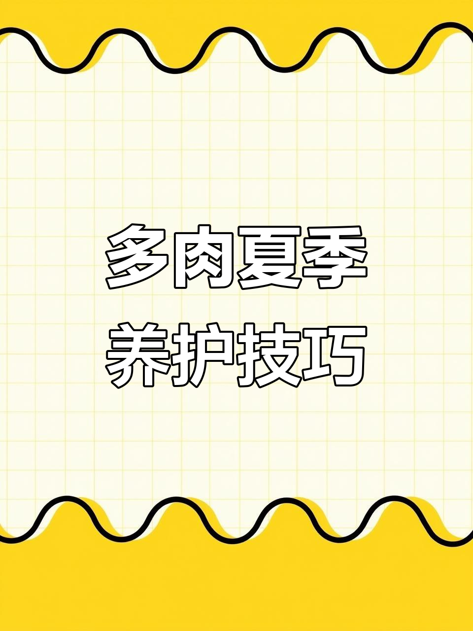 夏季阳台多肉养护秘籍,通风遮阳全搞定