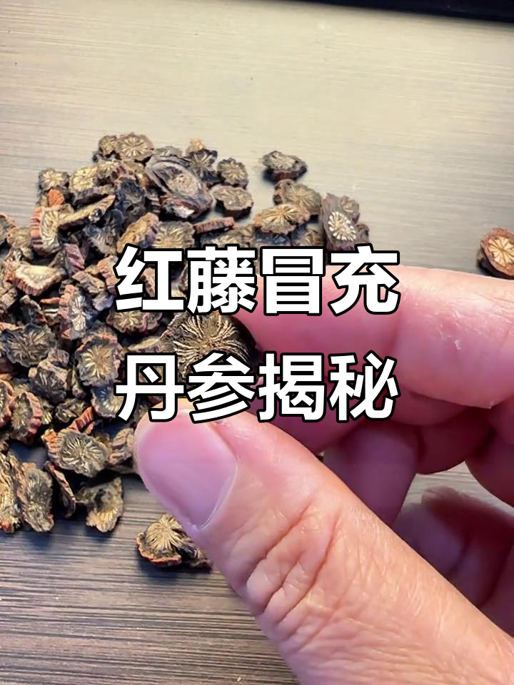 丹参和红藤的区别，别再被骗了！