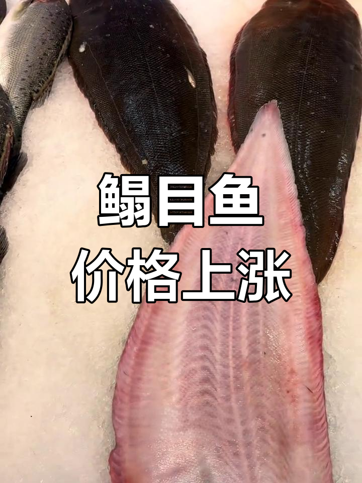 养殖鳎目鱼价格飙升,野生货源紧缺,未来更贵!