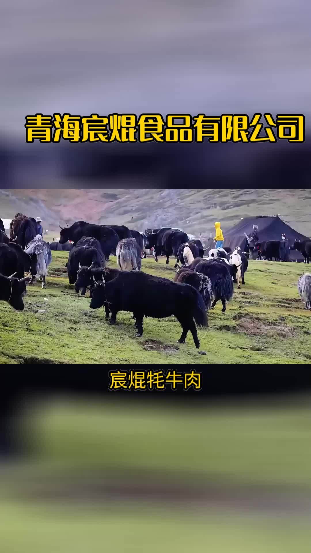 青海宸焜,牦牛肉的纯净之选
