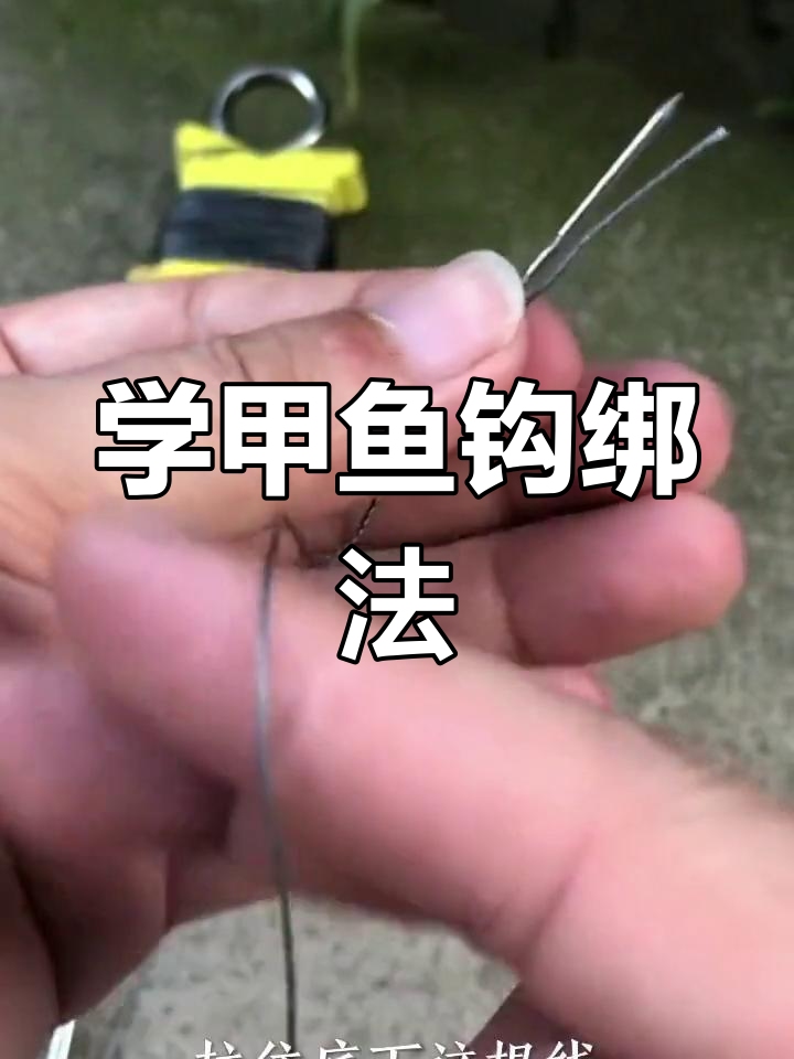 甲鱼钩绑针技巧全解析,轻松学会钓甲鱼的正确方法