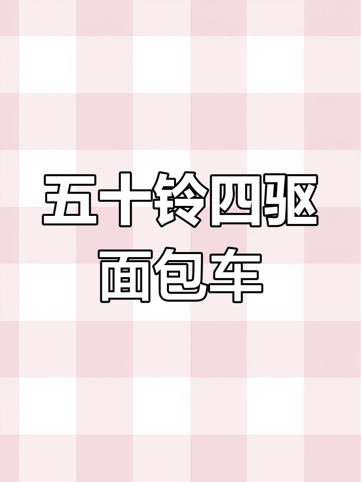 五十铃柴油四驱面包车,强劲动力与越野性能完美结合