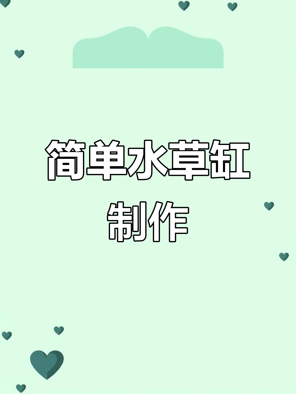 水草缸造景全攻略,轻松打造自然生态鱼缸