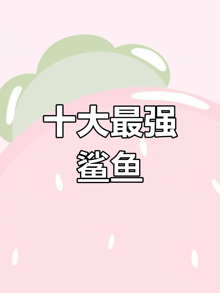 世界十大最凶猛鲨鱼,看看你怕不怕?