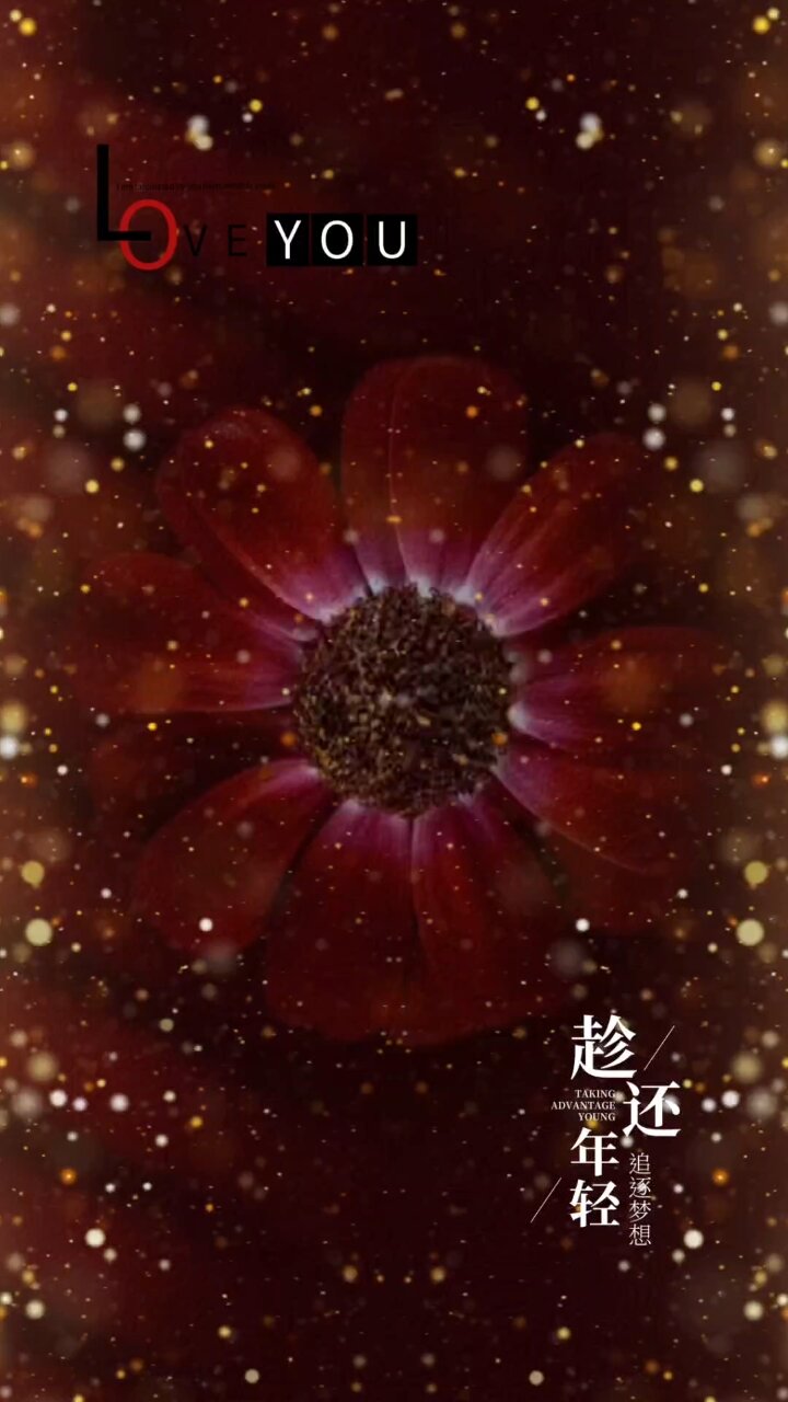 视频背景素材