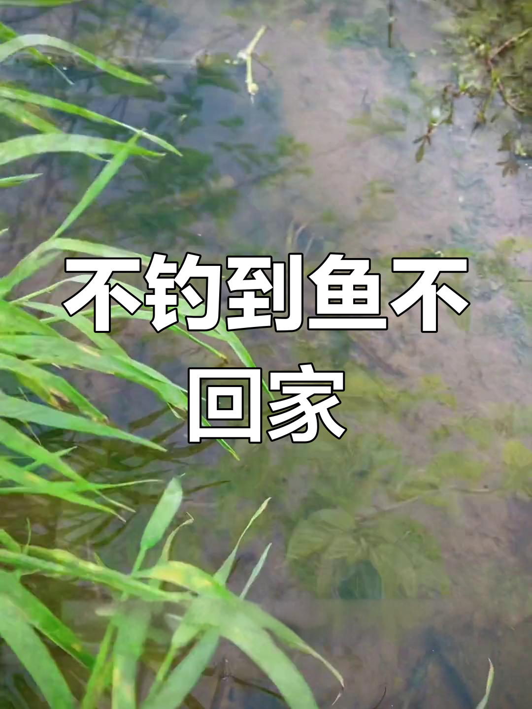 钓鱼人的执着:绝不空手而归