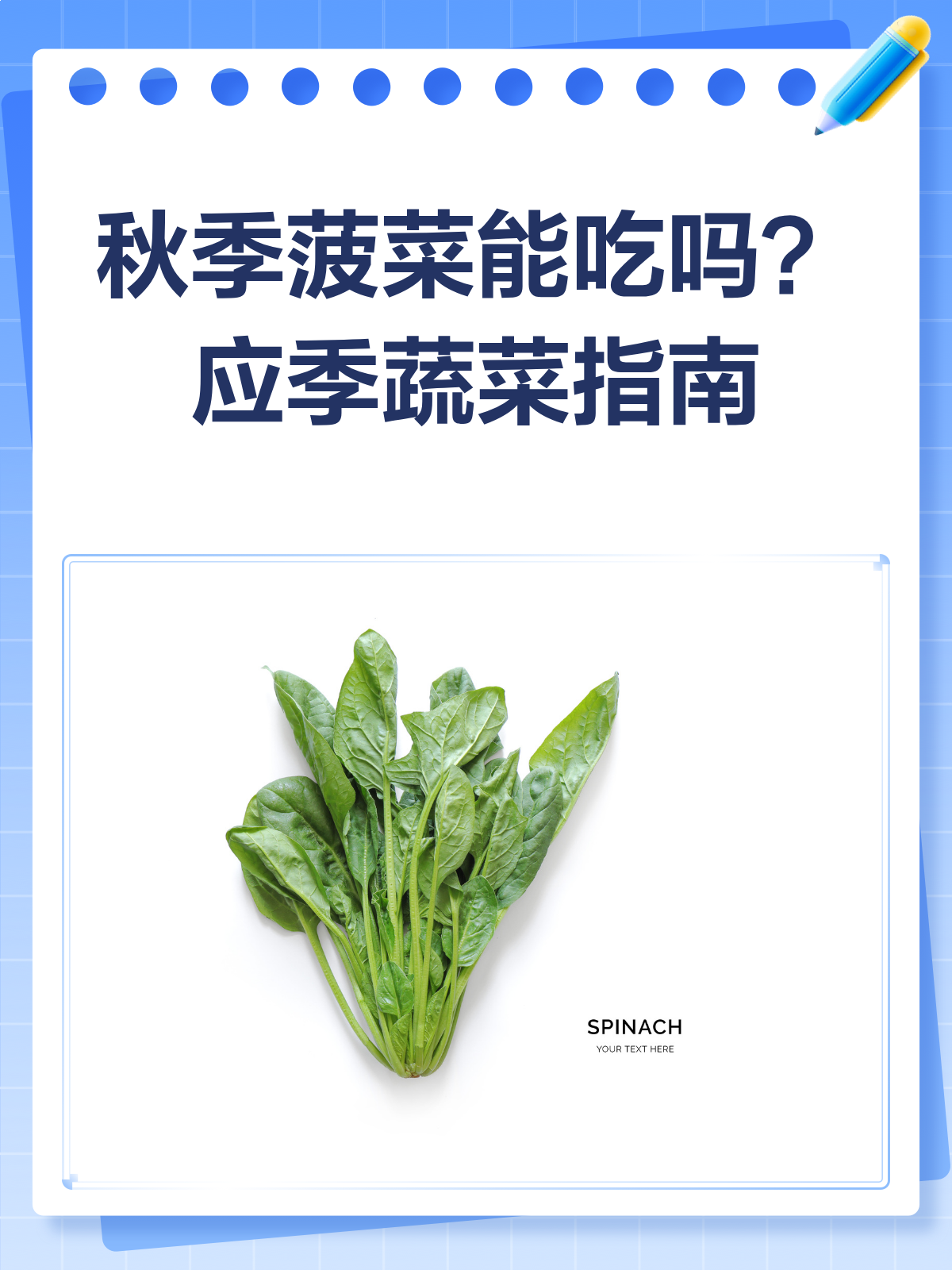 秋季菠菜能吃吗?揭秘应季蔬菜的真相!