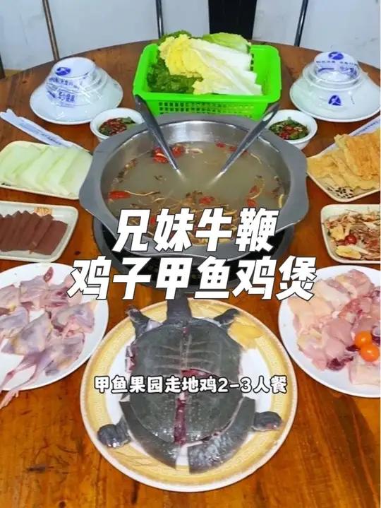 就在广州从化江埔和睦小学对面,这家兄妹牛鞭鸡子甲鱼鸡煲,现在抖音团购99就可以吃到这一桌甲