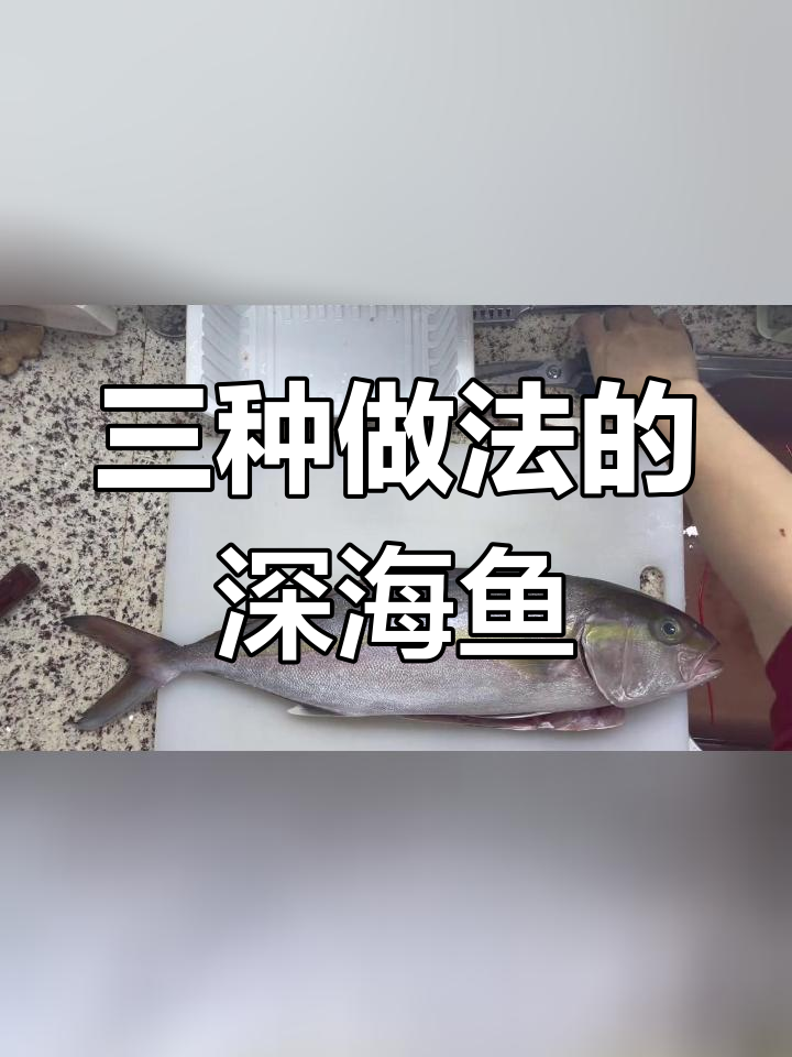 深海章红三吃全体验:刺身、烤鱼头与味增汤