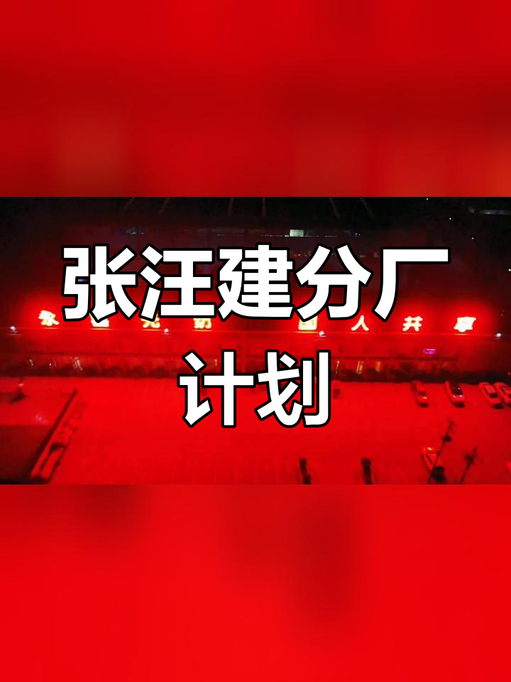 2024年,张汪镇迎来新厂建设