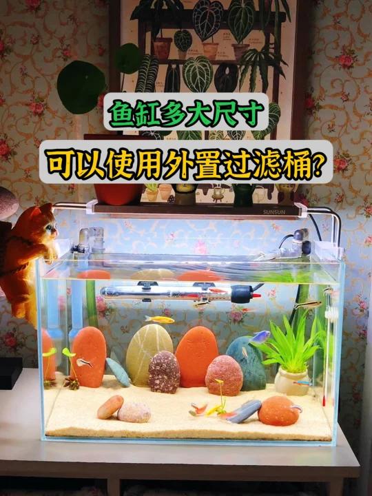 多大尺寸的鱼缸,才能搭配外置过滤桶
