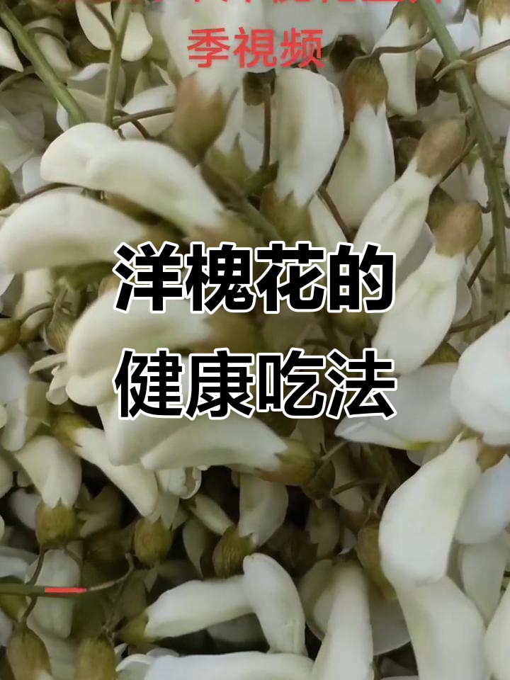 洋槐花:天然血管保护剂,蒸菜疙瘩做法揭秘