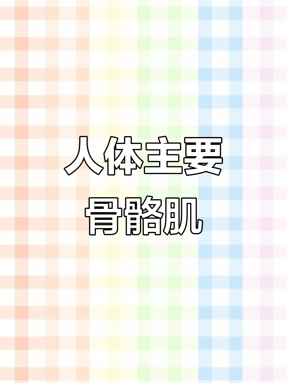 人体骨骼肌全解析:从头颈到下肢的肌肉分布