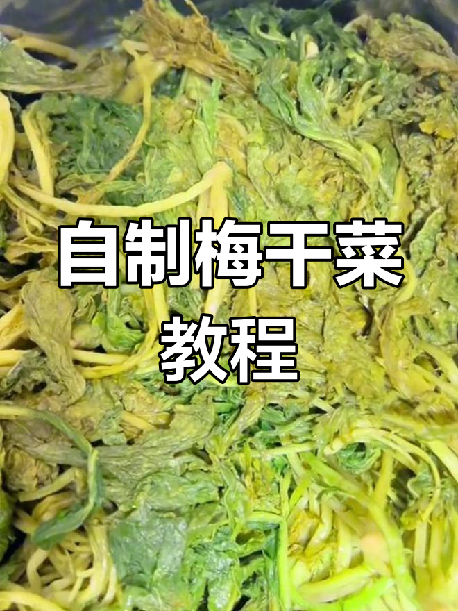 传统梅干菜制作方法,三蒸三晒才够味