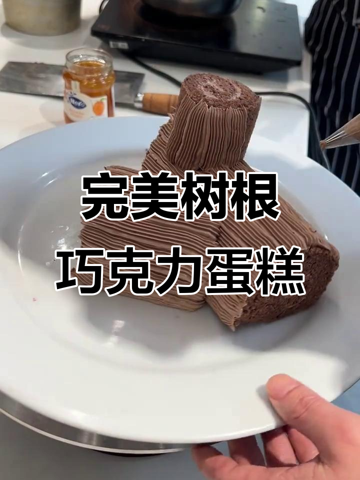 树根巧克力蛋糕裱花技巧,轻松搞定完美造型