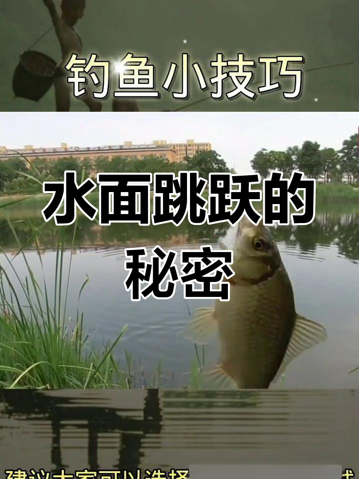 钓鱼时鱼跃水面,究竟是吉兆还是凶兆?