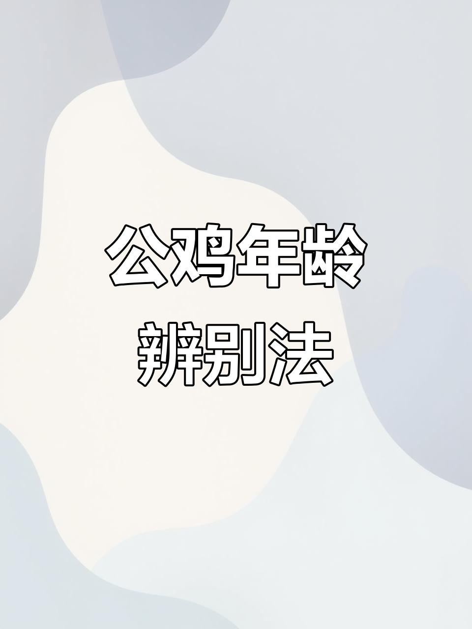 如何通过脚部特征判断公鸡年龄?