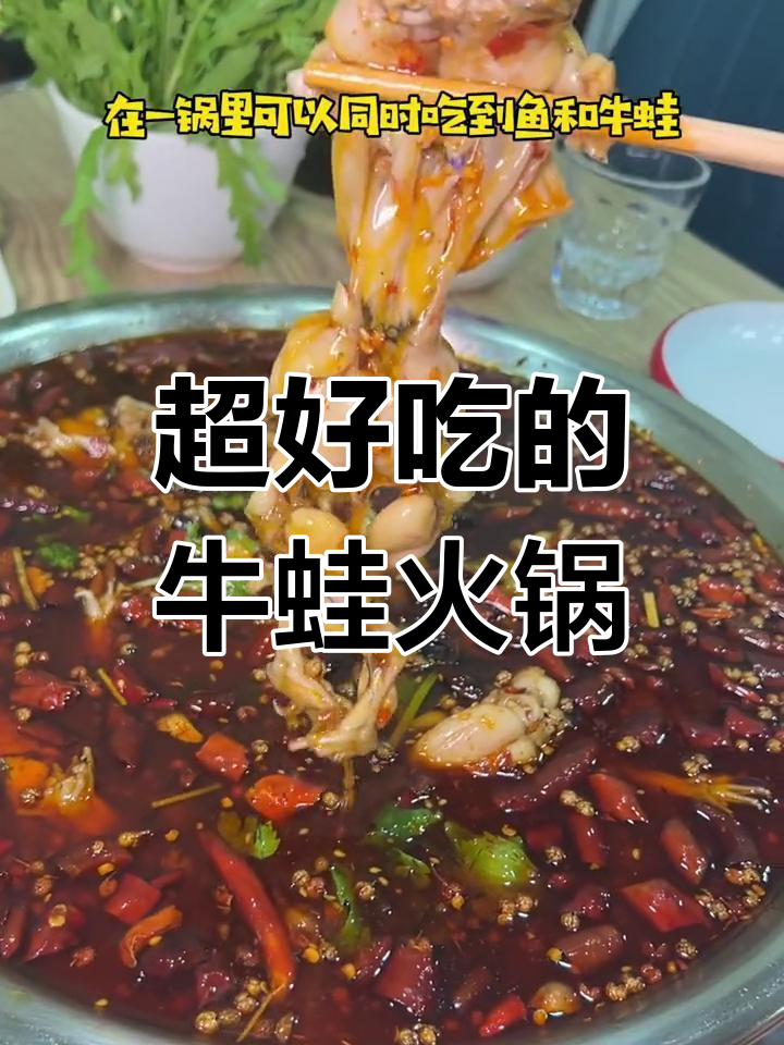 沈阳必试牛蛙火锅,鱼和牛蛙一锅炖,鲜嫩无比!