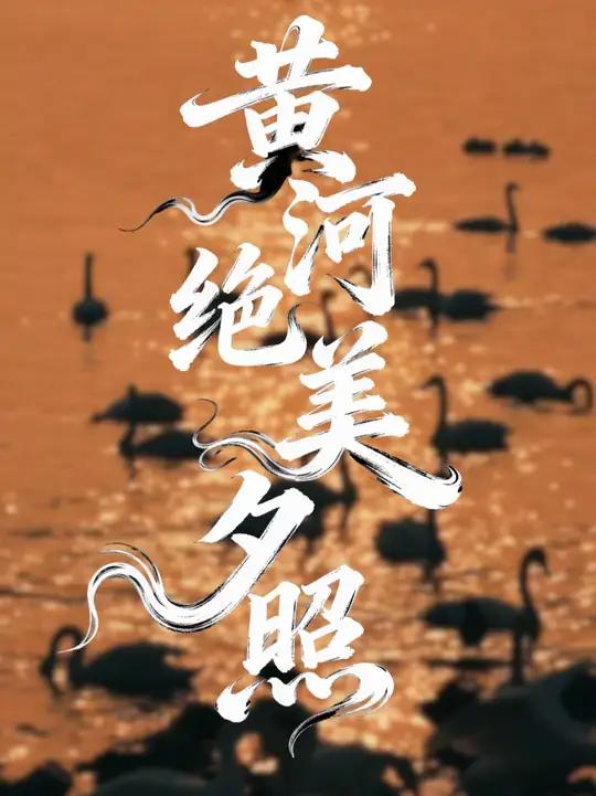 古人所说的“浮光跃金”诚不欺我！网友拍到河南三门峡的黄河河畔的绝美夕照，一江碎金，静影沉璧