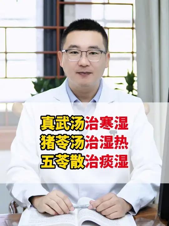 真武汤治寒湿，猪苓汤治湿热，五苓散治痰湿。