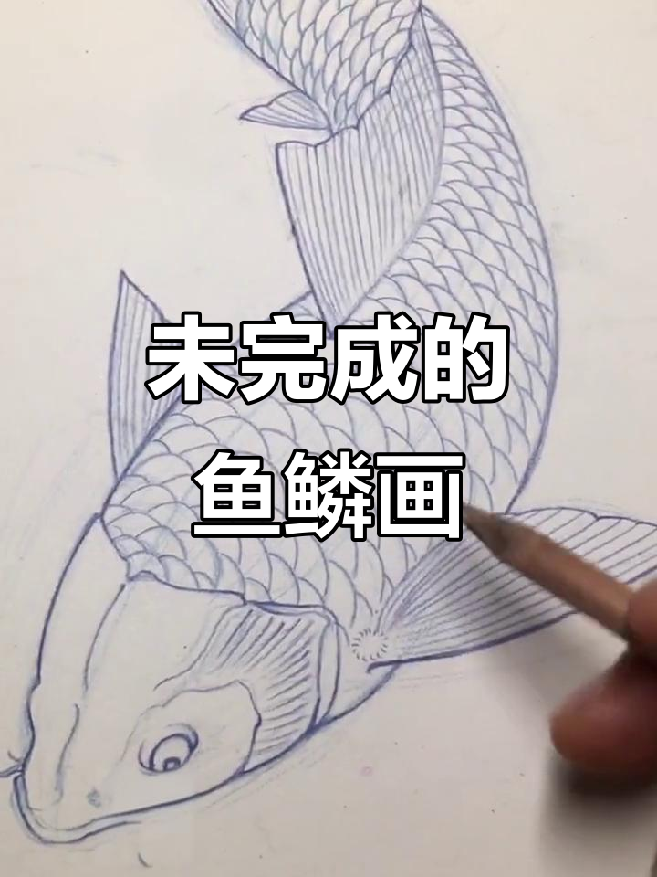 昨晚画鱼未完,今晚继续直播完成鳞片细节