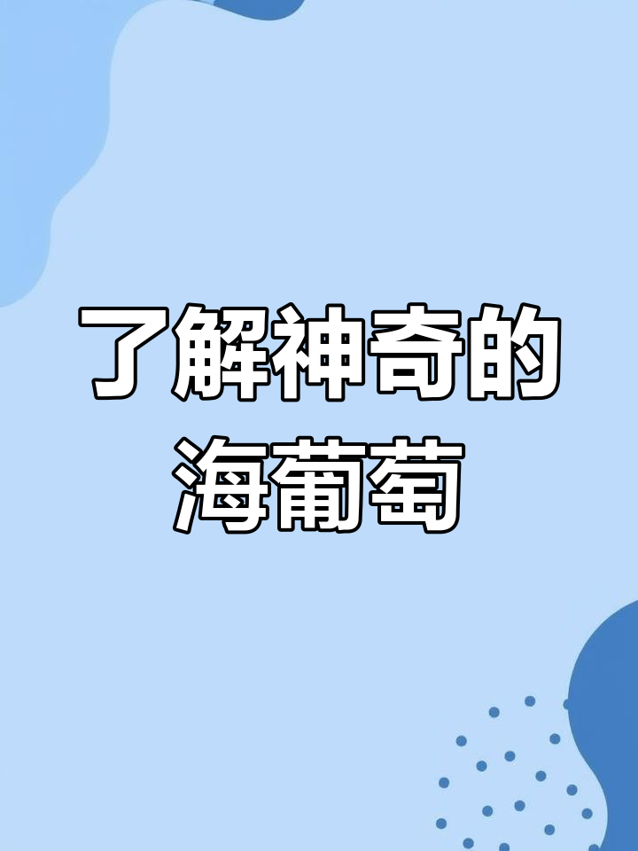 海藻中的“绿色鱼子酱”:海葡萄的秘密