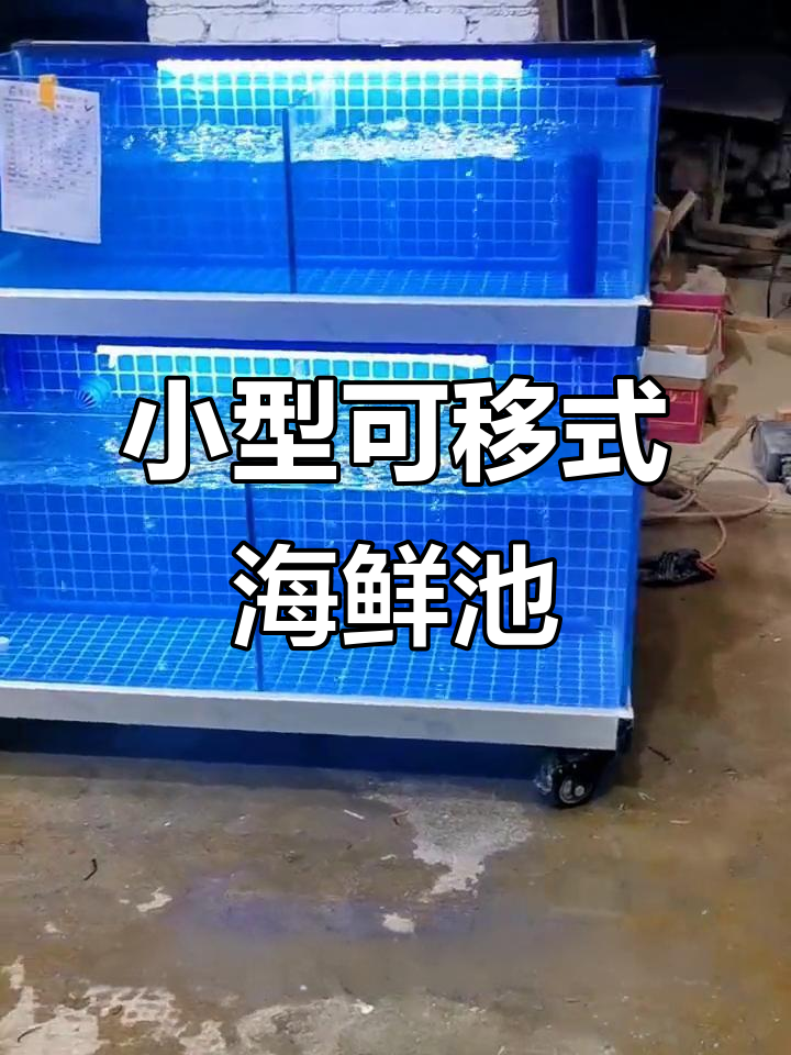 迷你移动海鲜鱼缸,饭店必备小巧灵活设计