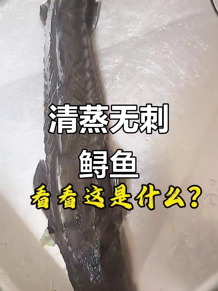 无刺鲟鱼清蒸做法，营养又美味