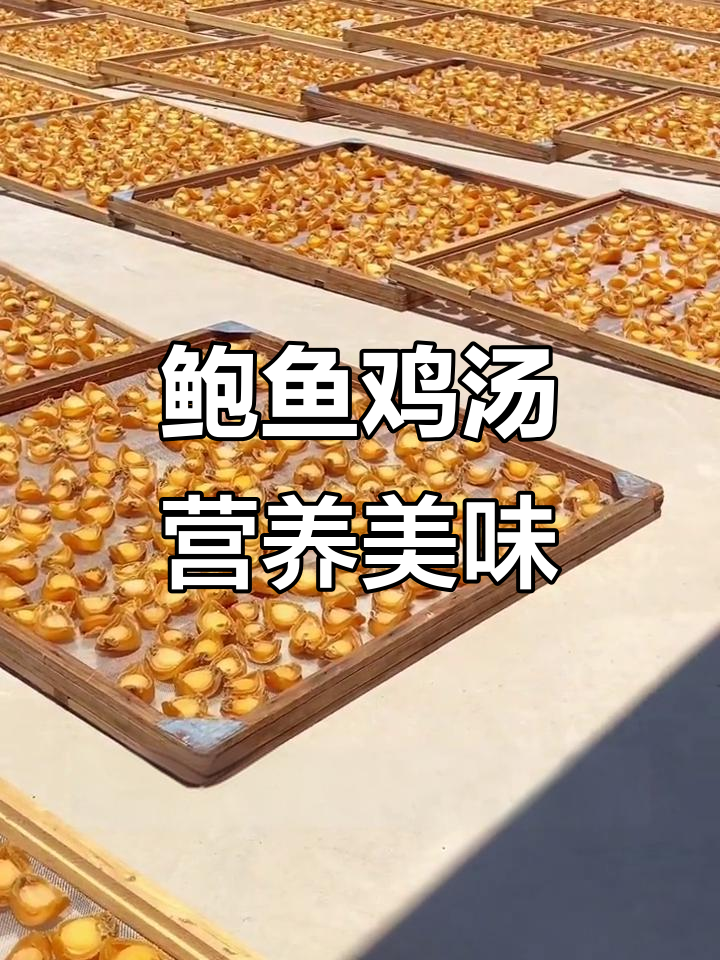 老人小孩孕妇常吃鲍鱼,滋补又健康