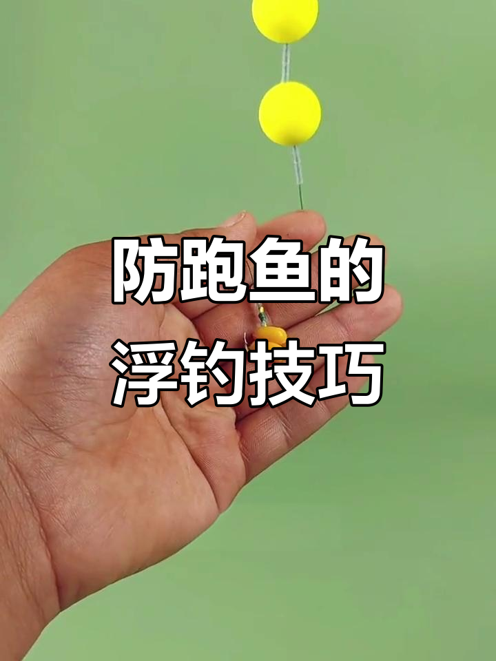 钓草鱼必备线组,夜间也能轻松捕捉