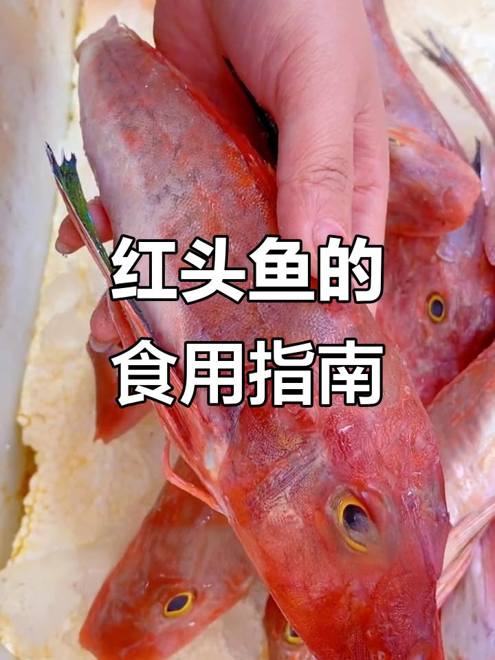 红头鱼宝宝能吃吗?营养丰富又无刺,处理方便!
