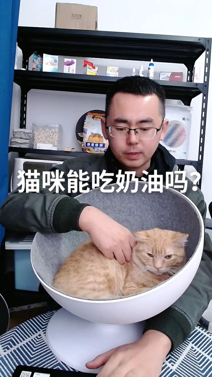 猫咪可以吃奶油吗?