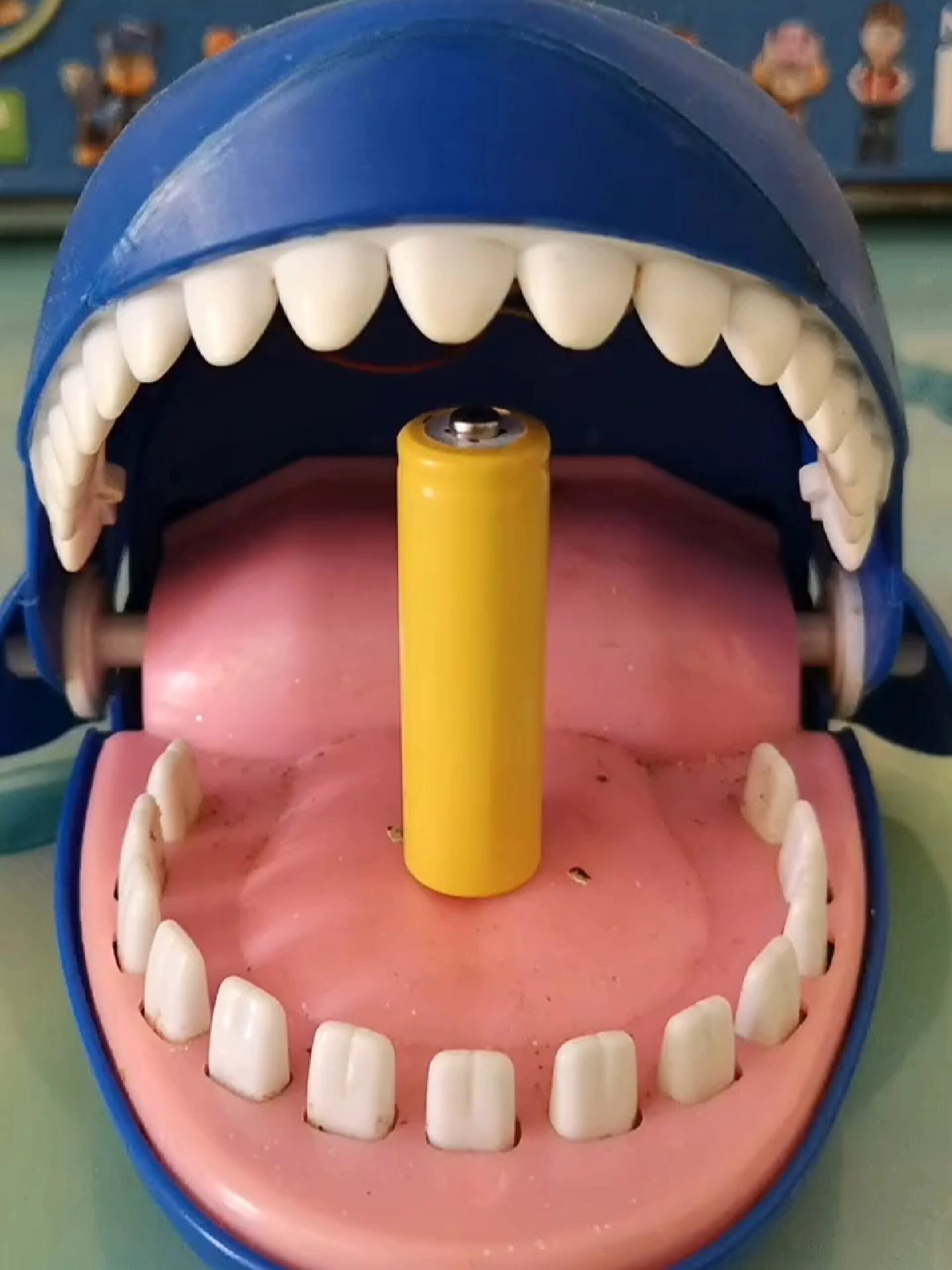 瞧瞧大鲨鱼吃的是什么