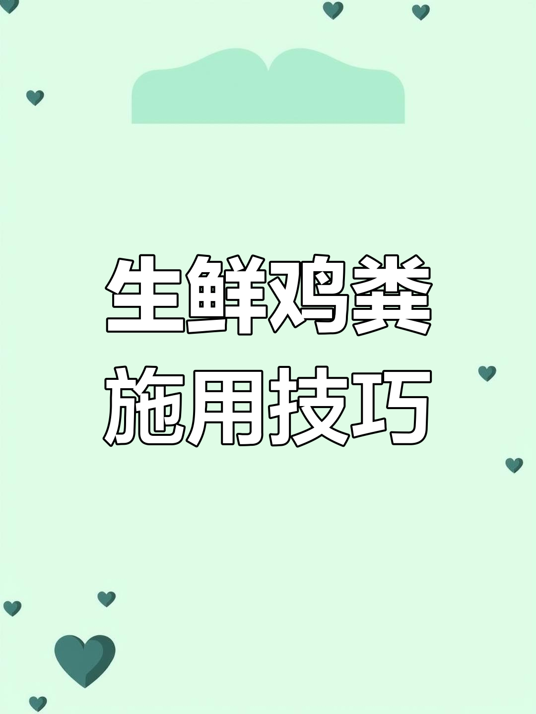 正确使用生鲜鸡粪,提升土壤健康