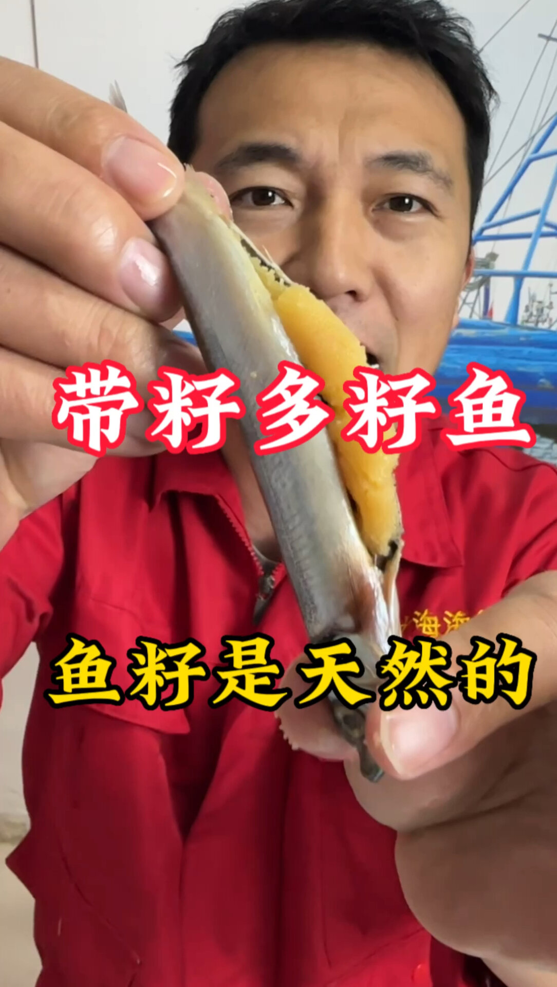 带籽鱼满满的鱼籽,味道鲜甜美味,来尝尝鲜吧