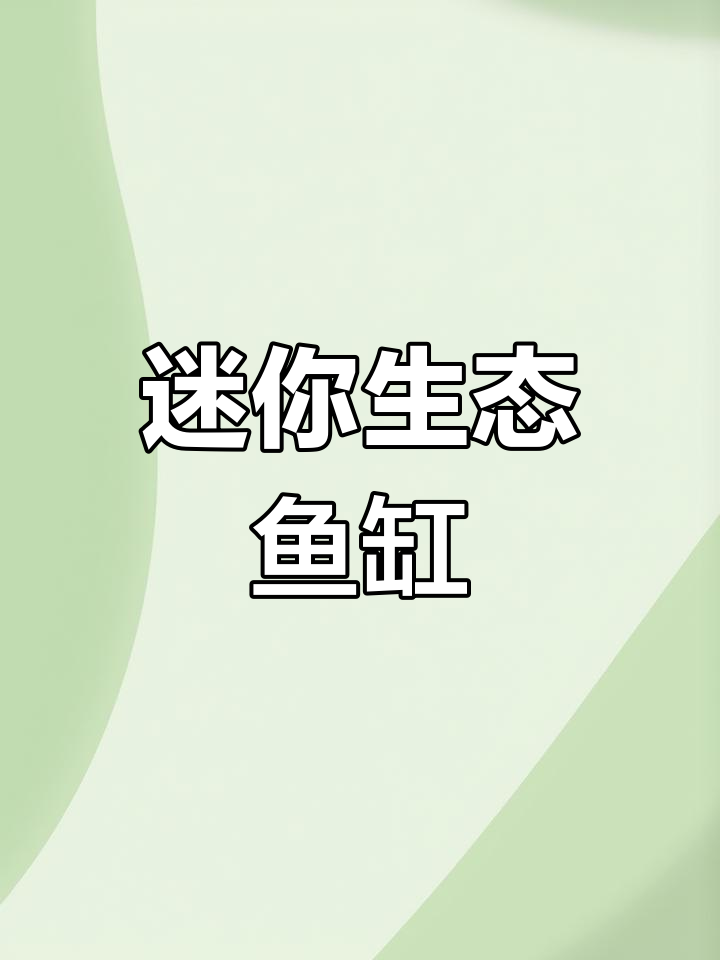 小巧桌面鱼缸,自循环水族箱,生态美观