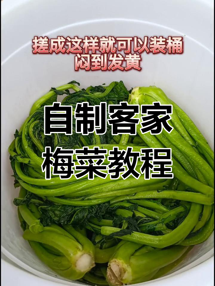 客家梅菜制作全攻略,教你一步步做出正宗美味