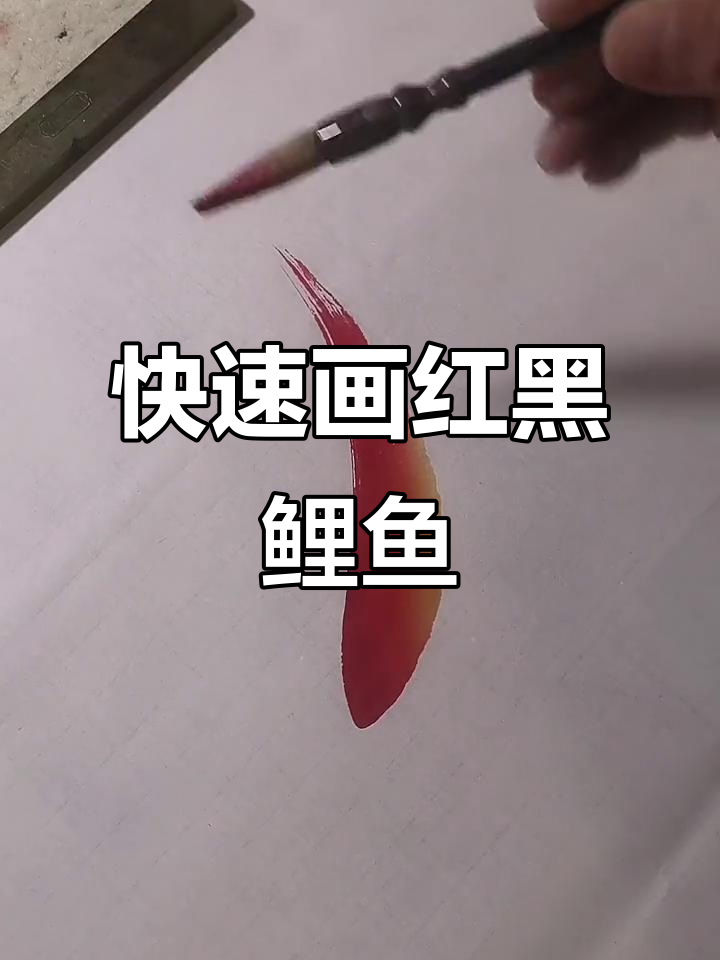 用正常速度教你轻松画出红黑鲤鱼,步骤简单又有趣