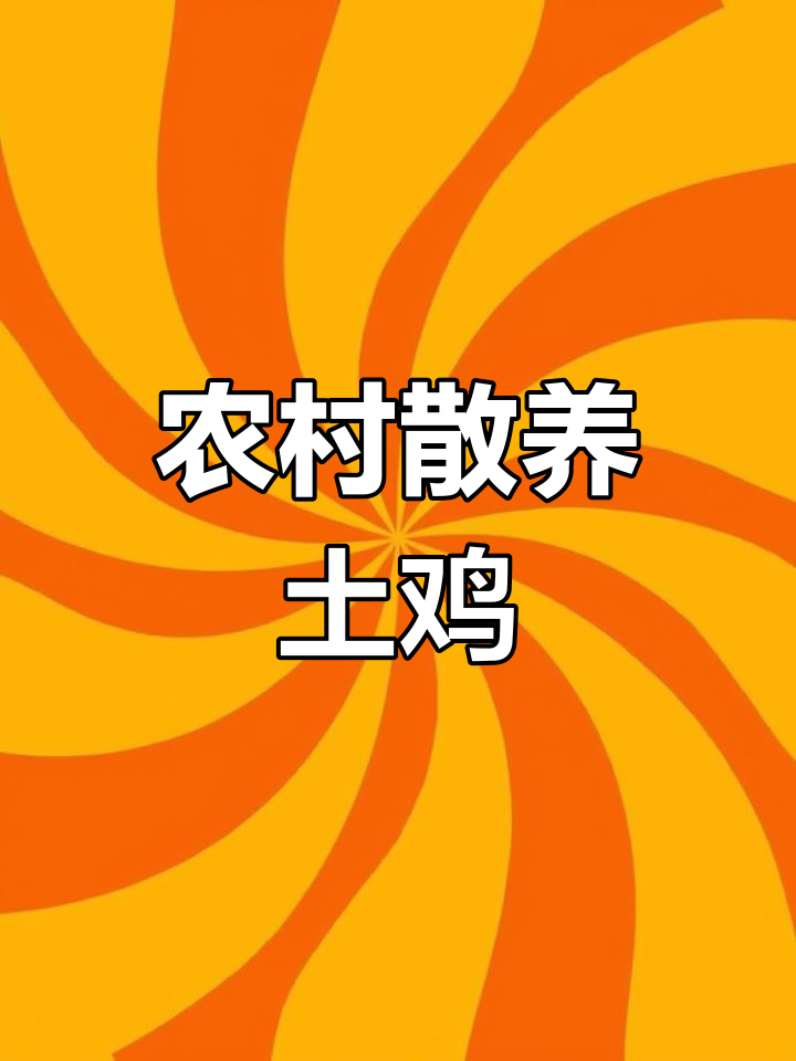 土鸡品种详解:散养与习性