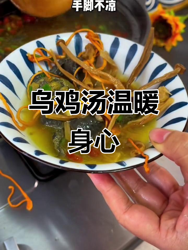 寒冷天气必备!乌鸡菌菇汤,滋补养生暖心汤