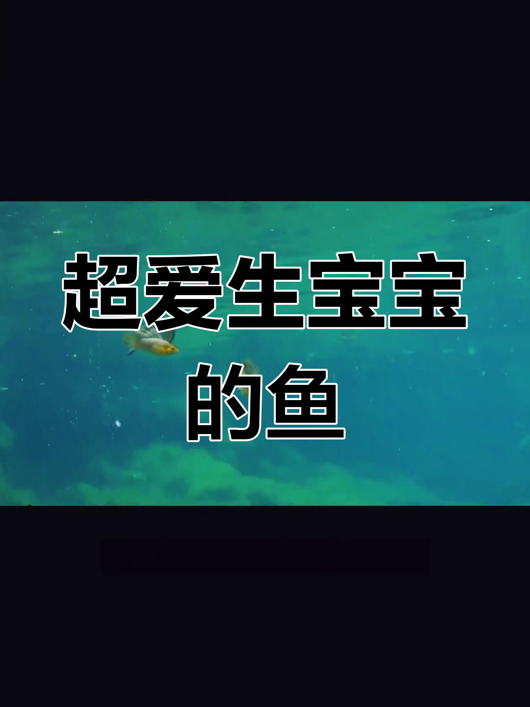 快速繁殖的神奇观赏鱼