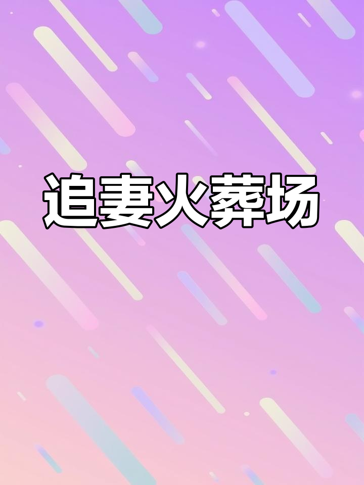 双男主追妻火葬场,情感纠葛