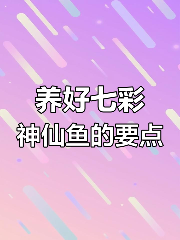 七彩神仙鱼养殖全攻略:水温、鱼缸与水质要求