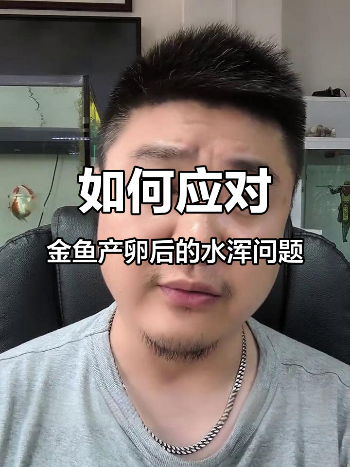 金鱼产卵后水质变差?如何正确处理避免应激反应