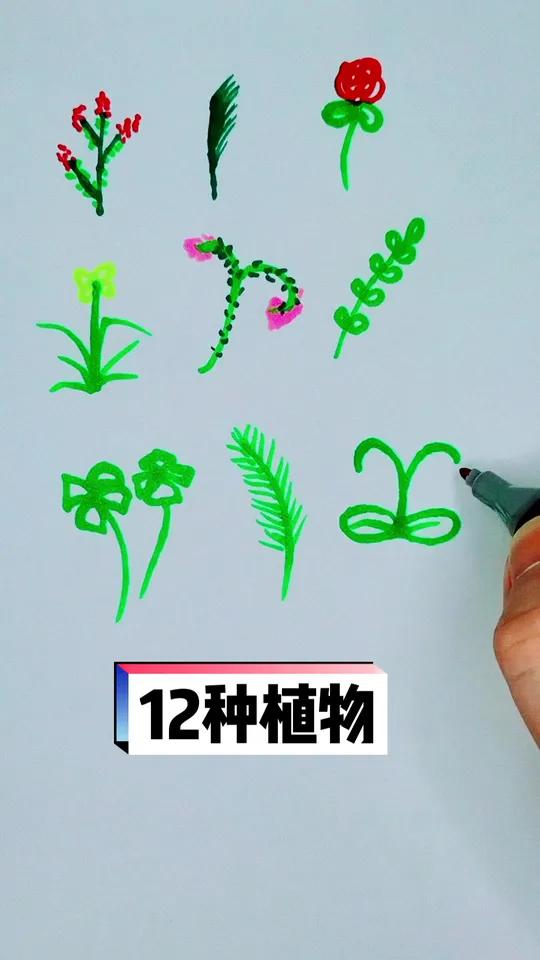 12种植物 一起学画画 少儿美术 简笔画 儿童简笔画 画画 想画就画 学画画 儿童画
