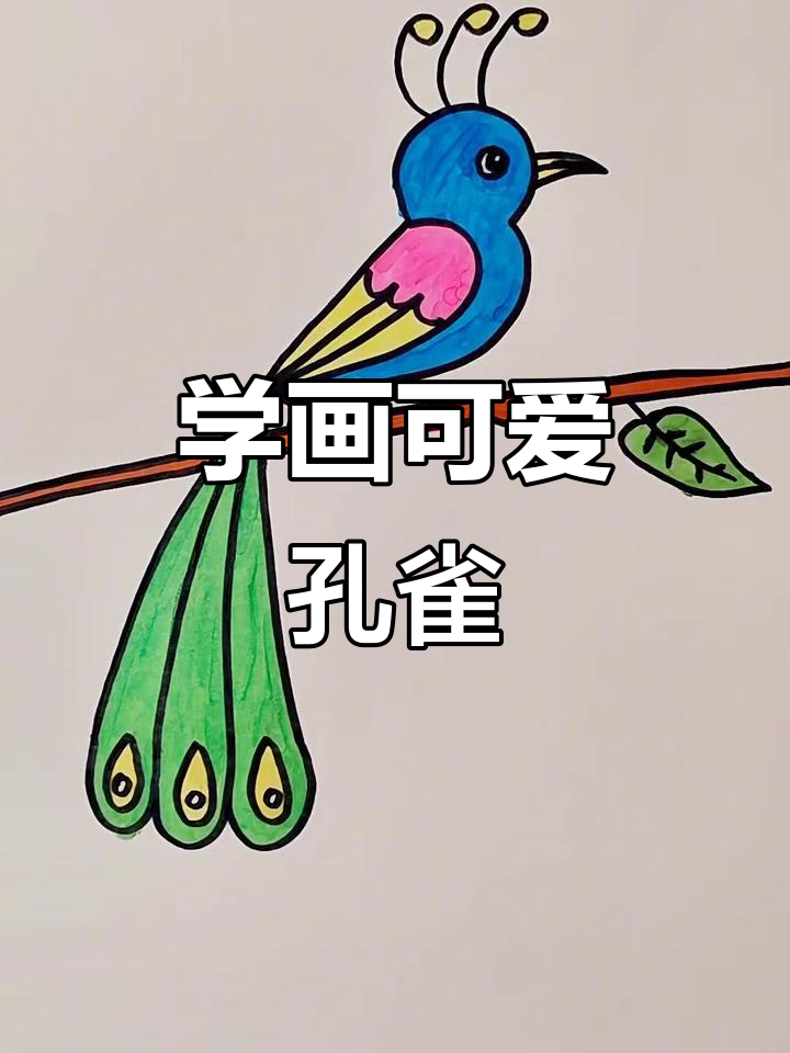 画孔雀的简单步骤,轻松学会