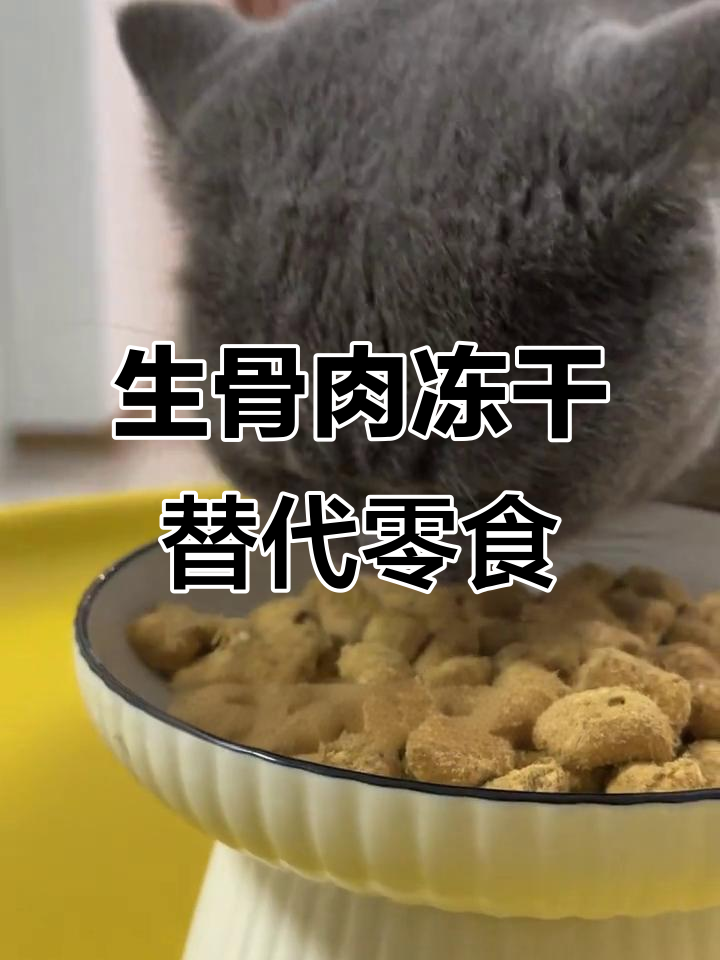 猫咪健康零食新选择,生骨肉冻干让它们吃得开心又长胖