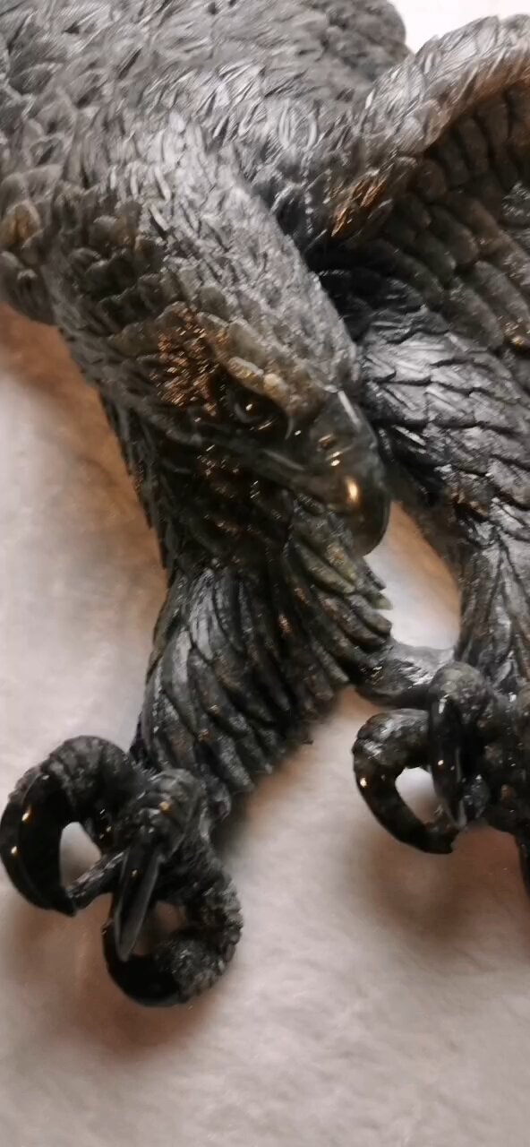 鹰击长空,翡翠乌鸡种