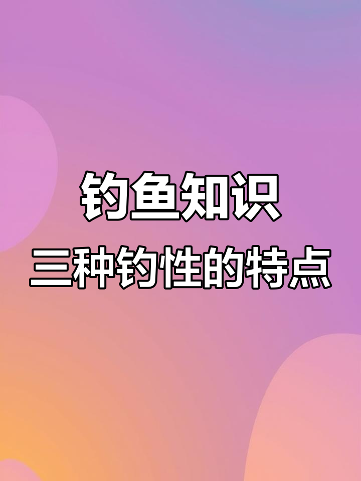 鱼竿钓性选择指南:19、28与37调的优缺点分析