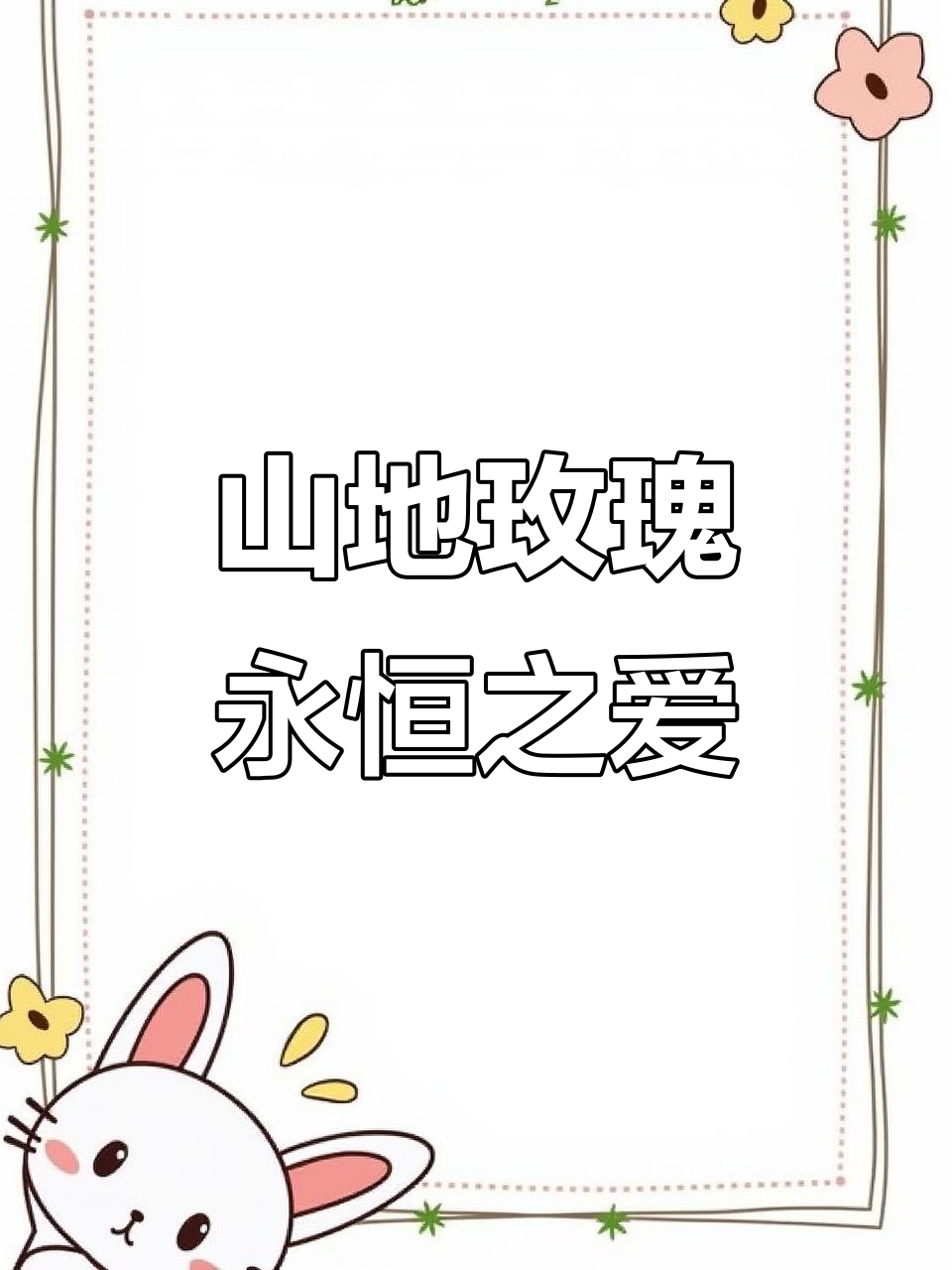 山地玫瑰:永不凋谢的美丽多肉,阳光下的迷人色彩